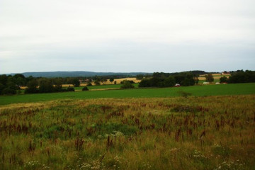 182-05.08. Unterwegs in Falbygden